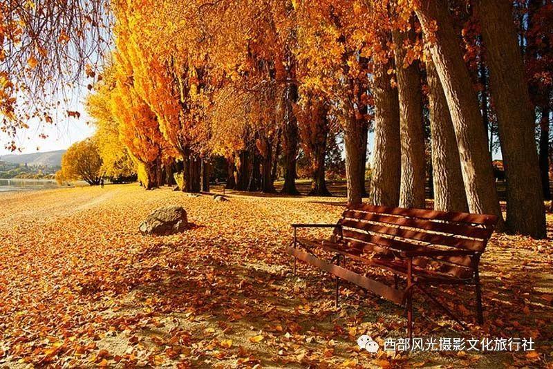 这是那个直播平台，知道的告诉我谢谢